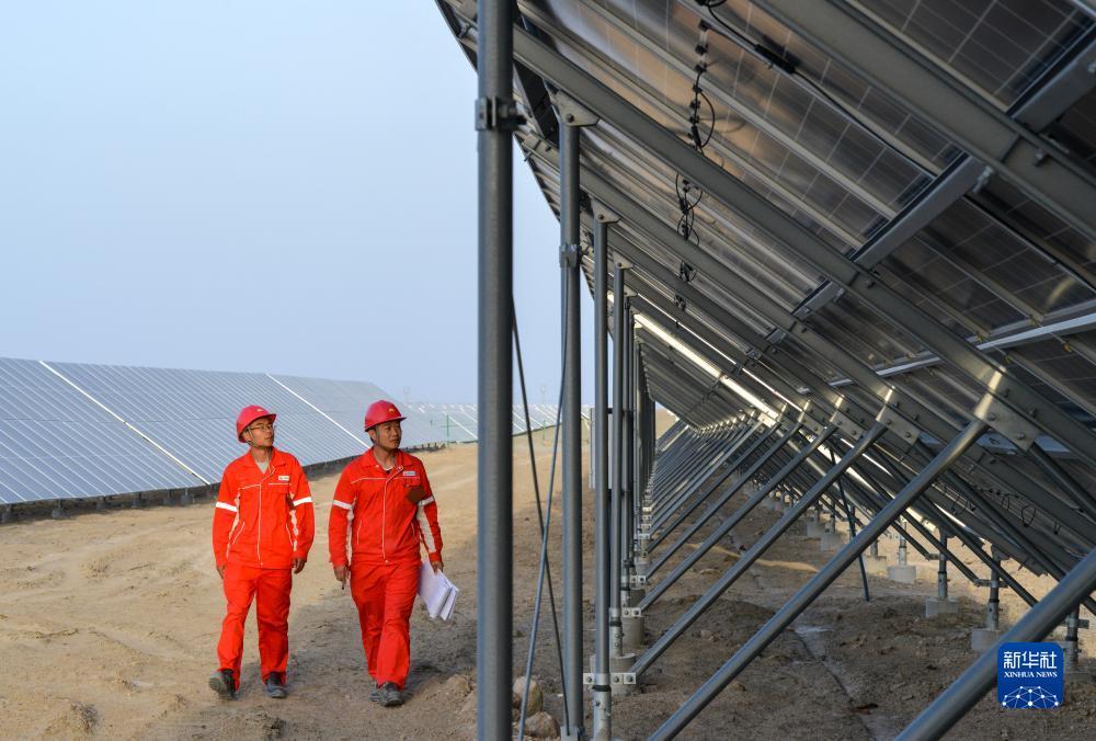国际利发娱乐